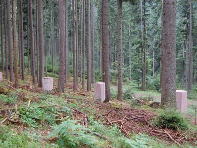 Circuit rando B12 : Le sentier de sculptures - Roche solaire 2