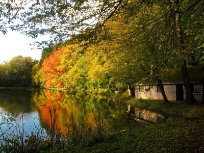 Circuit vélo du Sundgau n°3 : Au pays des étangs