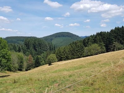 Circuit poussettes 4x4 H05 : La clairière du Hang-parcours 2
