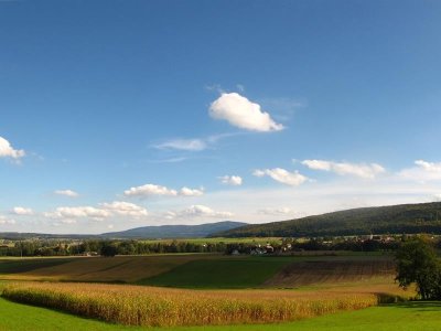 Circuit VTT n°1 Le Tour du Bergwald