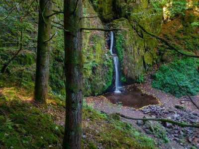 Circuit VTT B07 : Sur les hauteurs d'Urmatt