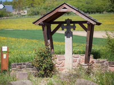 Sentier Colline du Scheuerberg