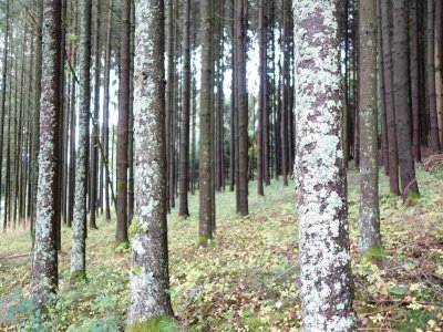 Randonnée - Chaume des Veaux