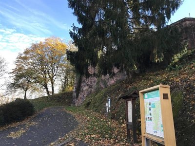 De La Petite-Pierre à Dossenheim (VTT)