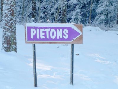 Circuit rando CDF07 : Les Myrtilles