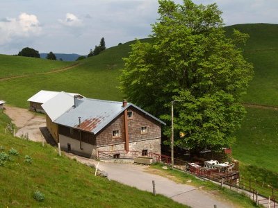 Balade ferme-auberge Felsach : vers un sanctuaire de nature