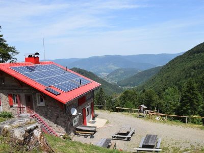 ECOBALADE - Découverte du Gazon Vert