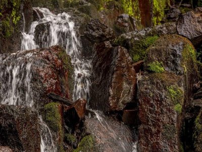 Circuit rando CDF14 : La cascade du Hohwald et la vallée de l'Andlau