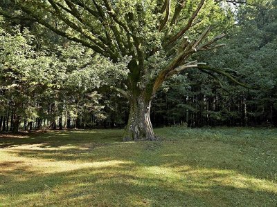 Sentier thématique : Le sentier du patrimoine mennonite