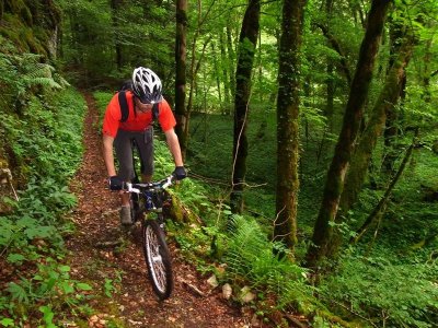 Circuit VTT n°25 Les deux Traubach