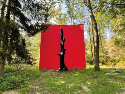 Le sentier du Monument du chêne
