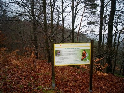 Sentier nature du Loosthal