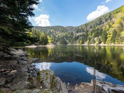 Parcours Trail : Le Gaschney - Entre crêtes et lacs