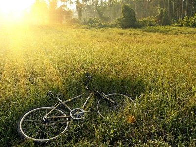 De Dossenheim à Saverne