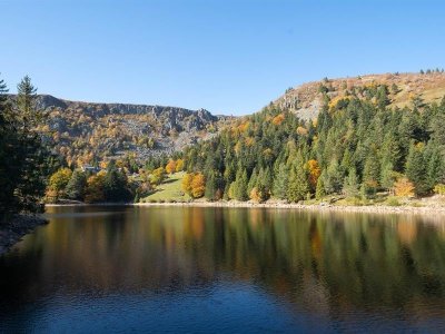 Randonnée découverte de la Ferme aux Rennes du Schantzwasen
