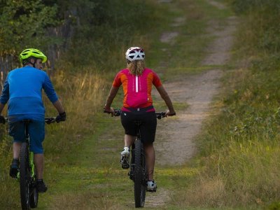 Circuit VTT 12 - Vignobles de Kientzheim et Sigolsheim