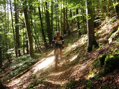 Circuit VTT n°27 Le vallon du Steinbach