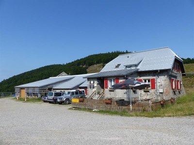 Balade ferme-auberge Haag : entre ombre des hêtraies et lumière
