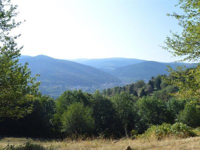 Circuit poussettes 4x4 C04 : Entre Fréconrupt et Salm