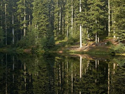 Circuit VTT C12 : Du château de Salm au col du Hantz