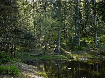 Circuit rando D07 : Le lac de la Maix