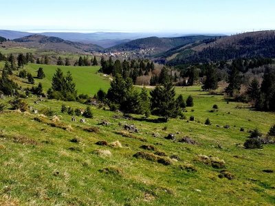 Circuit autour du massif du Hohbuhl
