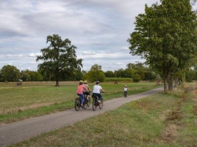 Piste cyclable - Hohengœft / Wasselonne