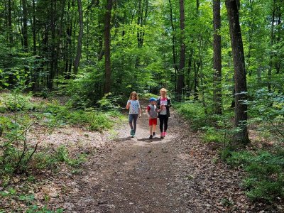 Randonnée pédestre Durmenach Luppach, le grand Mélèze