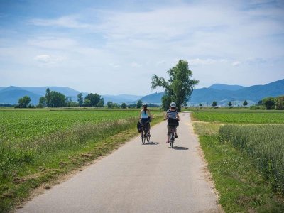 Piste cyclable - Cosswiller / Romanswiller