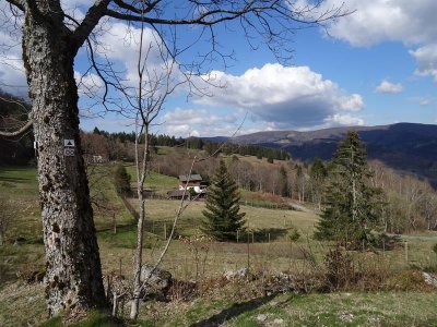 Trail - Les balcons du Frenz