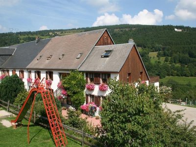 Balade ferme-auberge Pré Bracot : Le long des anciennes terrasses