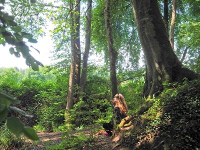Circuit pédestre du sentier des Mélèzes de  Durmenach