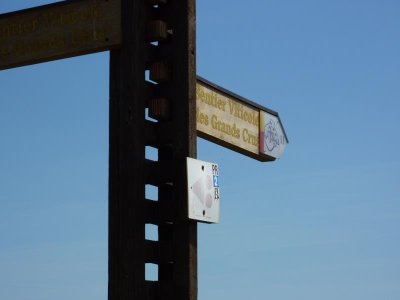 Sentier viticole des Grands Crus - Beblenheim