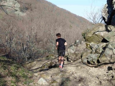 Trail Wattwiller - Hartmannswillerkopf