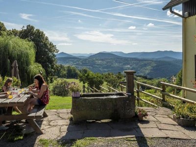 Circuit rando H12 : Du Haut-Ranrupt aux Hauts-Bois