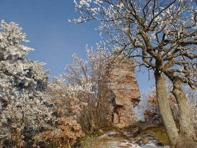 Circuit de randonnée vers les châteaux de Windstein