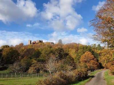 Sentier des châtaigniers