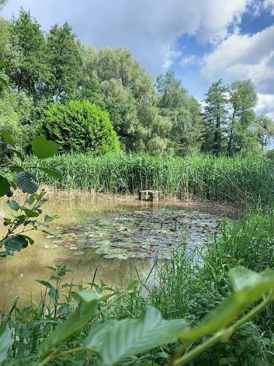 Circuit VTT : Roderen et Rammersmatt