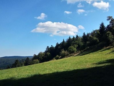 Circuit VTT des 3 cols