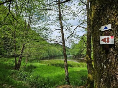 Boucle de l’étang du Donnenbach