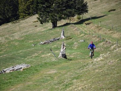 Circuit VTT n°30 : Le tour du Markstein