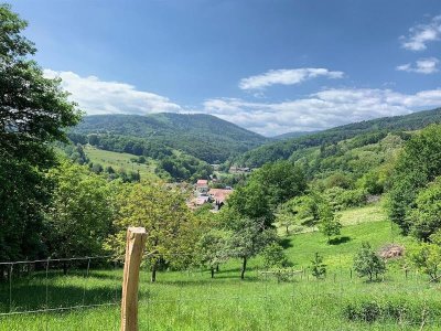 Balade : le village de Bourbach-le-Bas