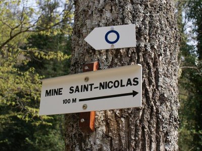 Balade : découverte du vallon de Steinbach