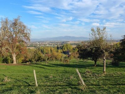 Circuit VTT n°31 Le Tour du Rebberg