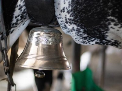 Balade ferme-auberge Buchwald : écouter les cloches tinter…