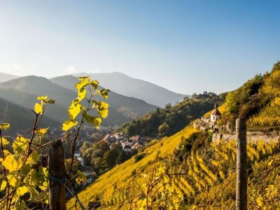 Trail Atelier Thann - Wadkapelle