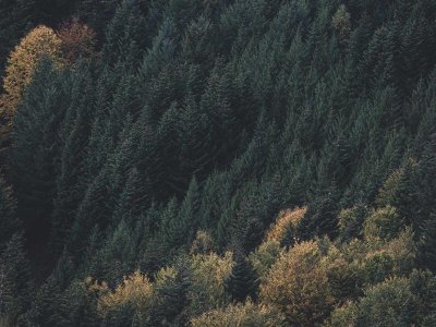 Randonnée - Le tour du Chena