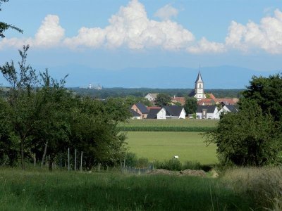 Sur les hauteurs de Berrwiller