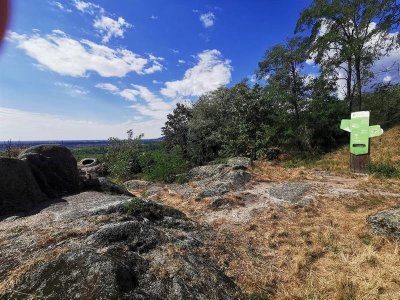 Sentier des Murailles et des Vignes - Dieffenthal