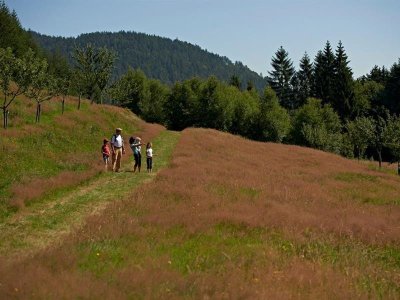 Circuit rando H05 : Le sentier des fruitiers